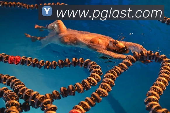 pg电子全站App pg电子全站App